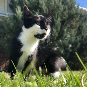 Meet your Posher, Taylor